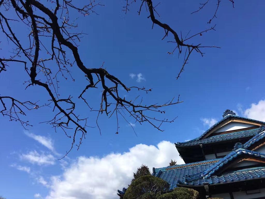 ホテル 皎月山荘 八王子市 エクステリア 写真