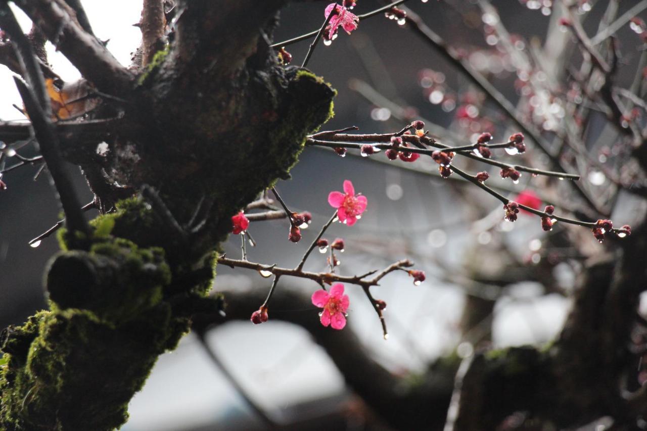 ホテル 皎月山荘 八王子市 エクステリア 写真