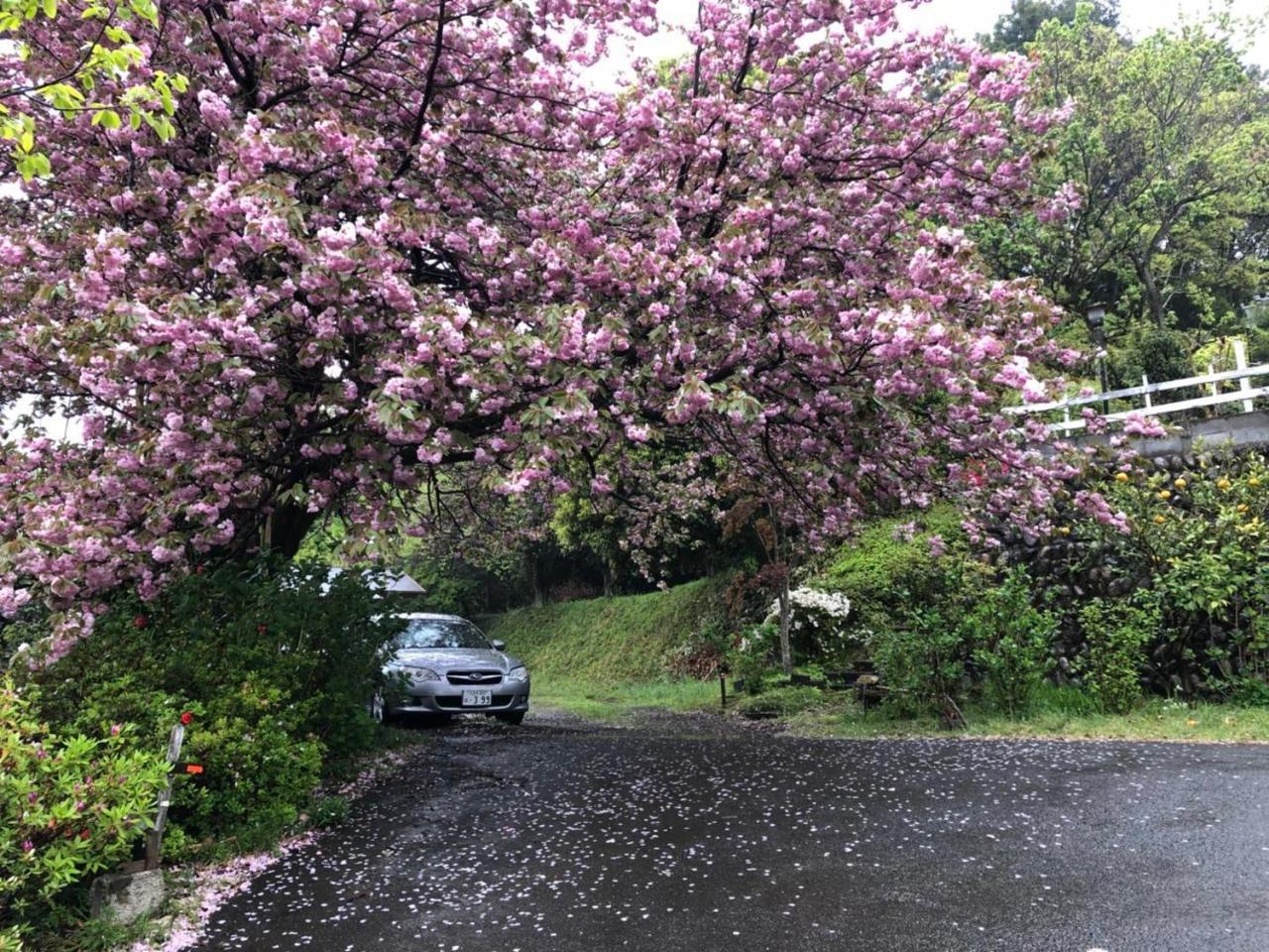 ホテル 皎月山荘 八王子市 エクステリア 写真